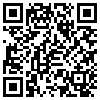 QR Code Handyversion