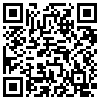 QR Code Handyversion