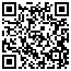 QR Code Handyversion