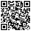 QR Code Handyversion