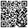 QR Code Handyversion