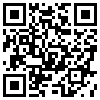 QR Code Handyversion