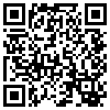 QR Code Handyversion