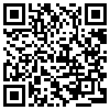 QR Code Handyversion