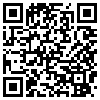 QR Code Handyversion