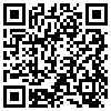 QR Code Handyversion