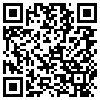 QR Code Handyversion