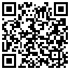 QR Code Handyversion