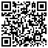 QR Code Handyversion