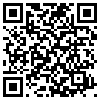 QR Code Handyversion