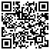 QR Code Handyversion