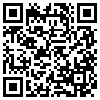 QR Code Handyversion