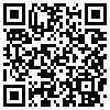 QR Code Handyversion