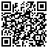 QR Code Handyversion