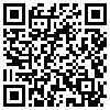 QR Code Handyversion