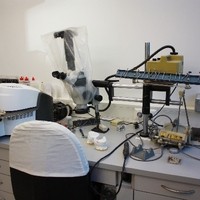 IMG 5036