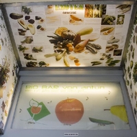 Bio Bar von Antun - Speisen