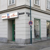 IMG 3595