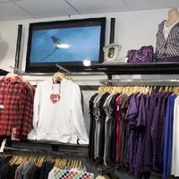 IMG 3690