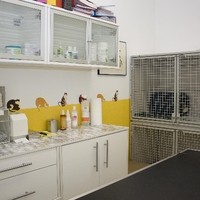 Tierambulatorium Draschepark