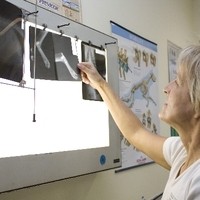 Foto4