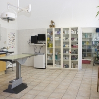 Untersuchungsraum
