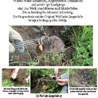 Mäusefangen leicht gemacht