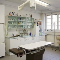 img 5850