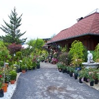Gartengestaltung Zenz Foto1