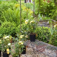 Gartengestaltung Zenz Foto2