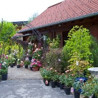 Gartengestaltung Zenz Foto5
