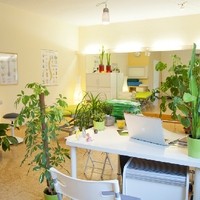 physio forster Foto2