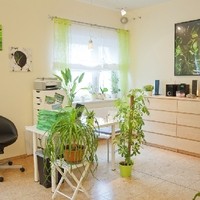 physio forster Foto3