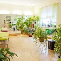 physio forster Foto5