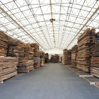 HANGER HOLZ - Kompetent rund ums Holz