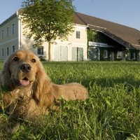 Tierklinik Weistrach