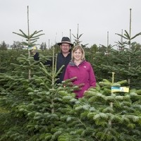 CHRISTBAUMHOF MANZL Familie Holzner - HOFLADEN