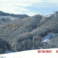 Bau Jausenstation 228