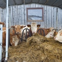 Hofladen Streitner - Das beste vom Bauernhof