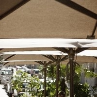 Cafe Amacord