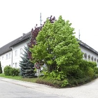 KÖLBLEITNER TRANSPORTE BAGGERUNGEN INDUSTRIEDEMONTAGEN | FRIEDI´S PUB Fremdenzimmer MINICHBERGER-KÖLBLEITNER