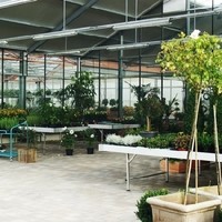Blumen Angerer - Geschäft