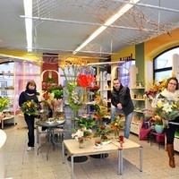 Langers Blumenecke Foto1