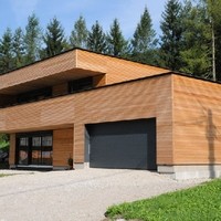 CasesCarina (1)