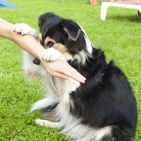 Tricktraining "Kuck Kuck"