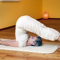 Dr. Sonja Fischer   Yoga   Astrologie   Energetik 2