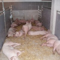 Friedl Hofladen 4