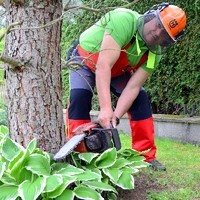 Service für Haus und Garten Manfred Zenz Baumfällen