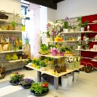 Anita Großmann Marktladen