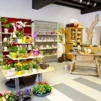 Anita Großmann Marktladen